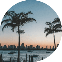 Nettles & CO Florida