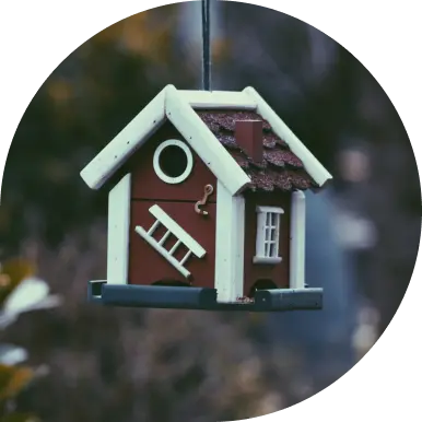 Nettles & Co. Counties in Texas